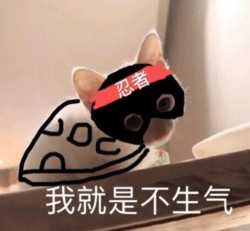 03.jpg