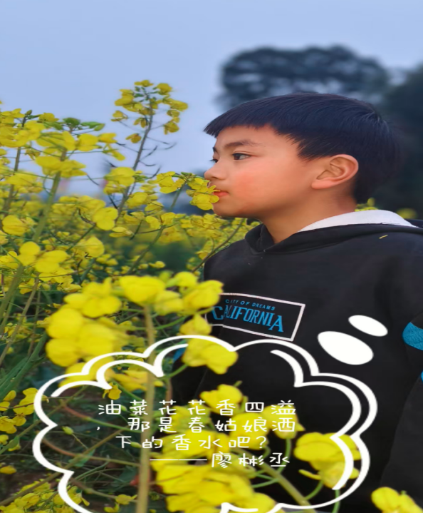 QQͼƬ20250319130230.png