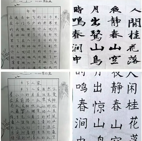 QQͼƬ20250321135510.png