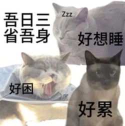 07.jpg