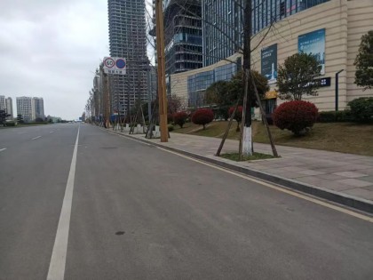 06.jpg