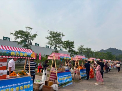 07.jpg