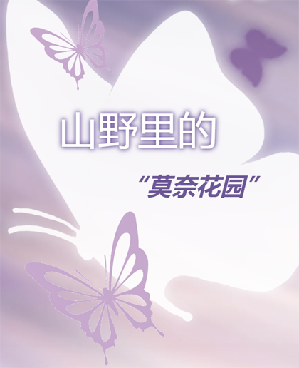 01.png