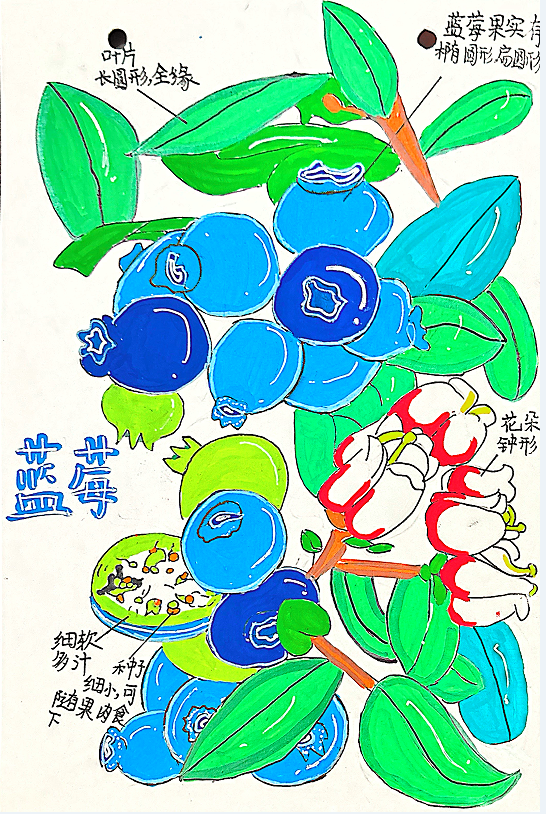 QQͼƬ20250528071307.png