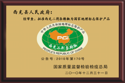 06.png