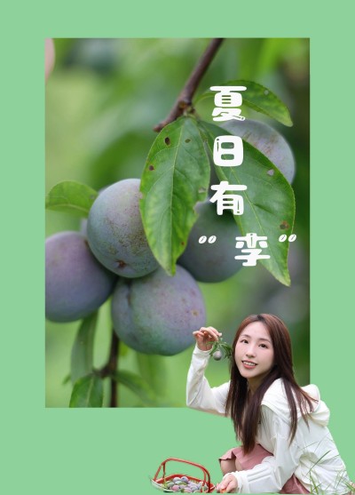 01.jpg