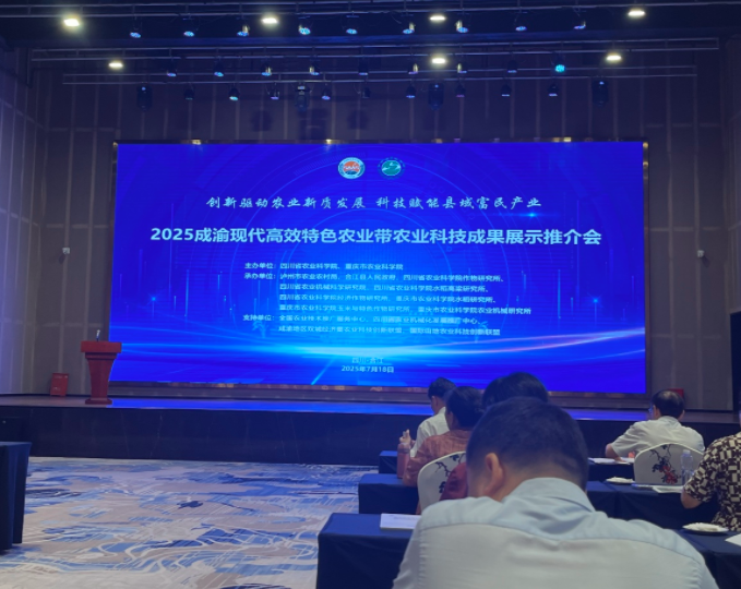 QQ_1753158746148.png