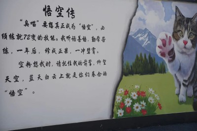 03.jpg