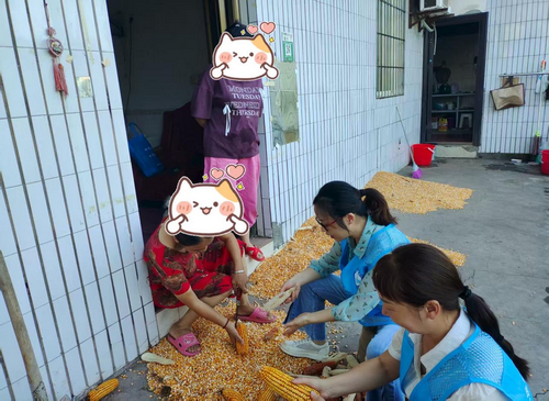 ͼƬ7.png