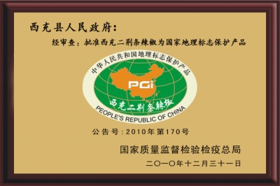 07.jpg