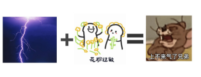 ơأױΪʲôЩ
