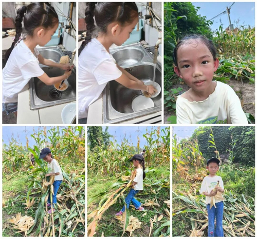 1758359935685565.png 7-3.png