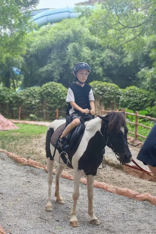 1758360494489113.jpg 图四.jpg