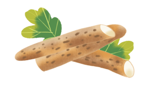 07.png