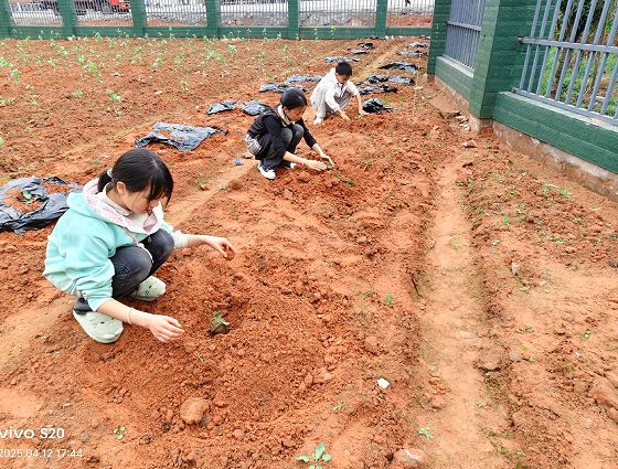 1758700292774470.png QQ_1758700208662.png