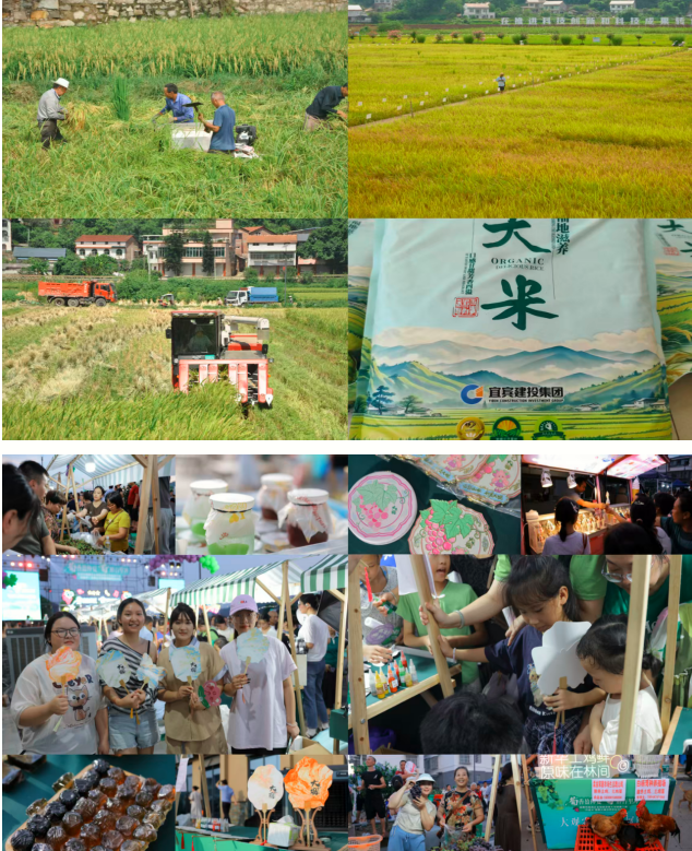 QQ_1758768235935.png