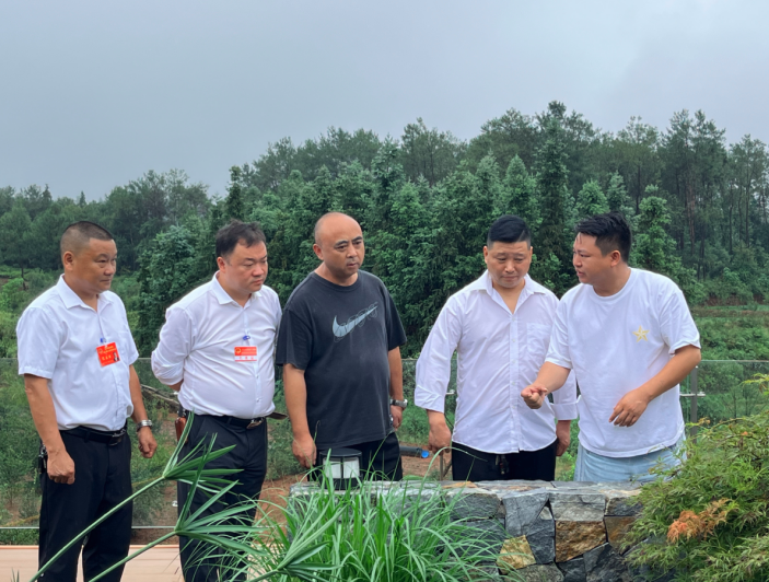 QQ_1759034647115.png
