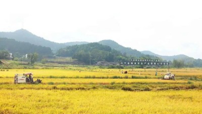 03.jpg