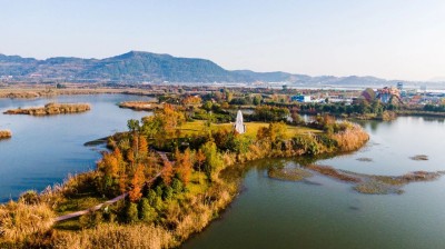 1760003654116901.jpg 03.jpg