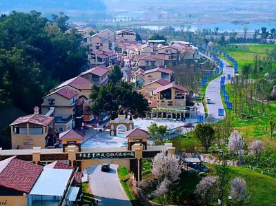 1760003688217087.jpg 07.jpg