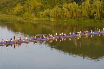 1760003771669019.jpg 15.jpg