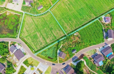 1760237787964151.jpg 10.jpg