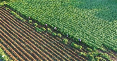 1760238087520189.jpg 02.jpg