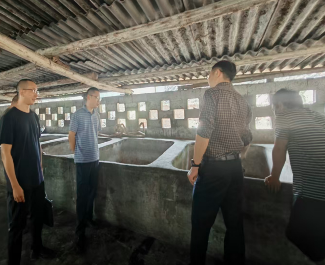 1760325429444492.png QQ_1760325417739.png