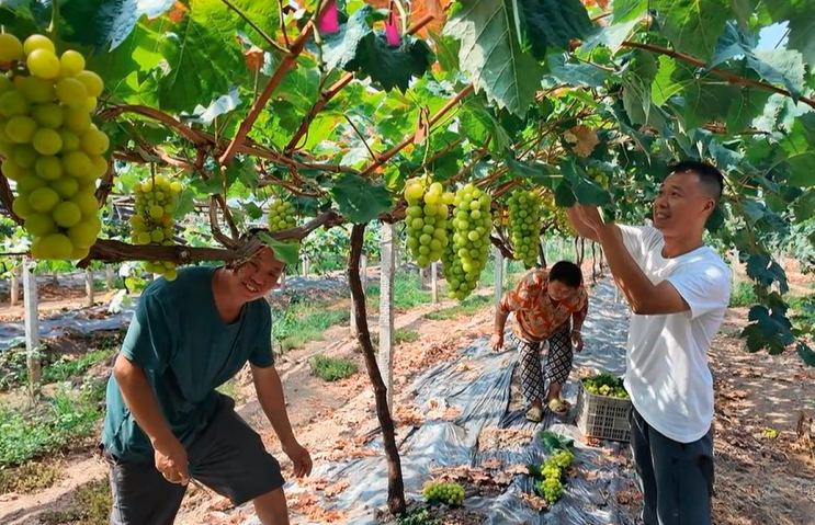 1760414762685876.png QQ_1760414745952.png