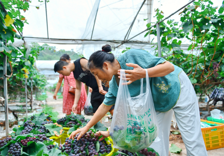 1760414894452597.png QQ_1760414881129.png