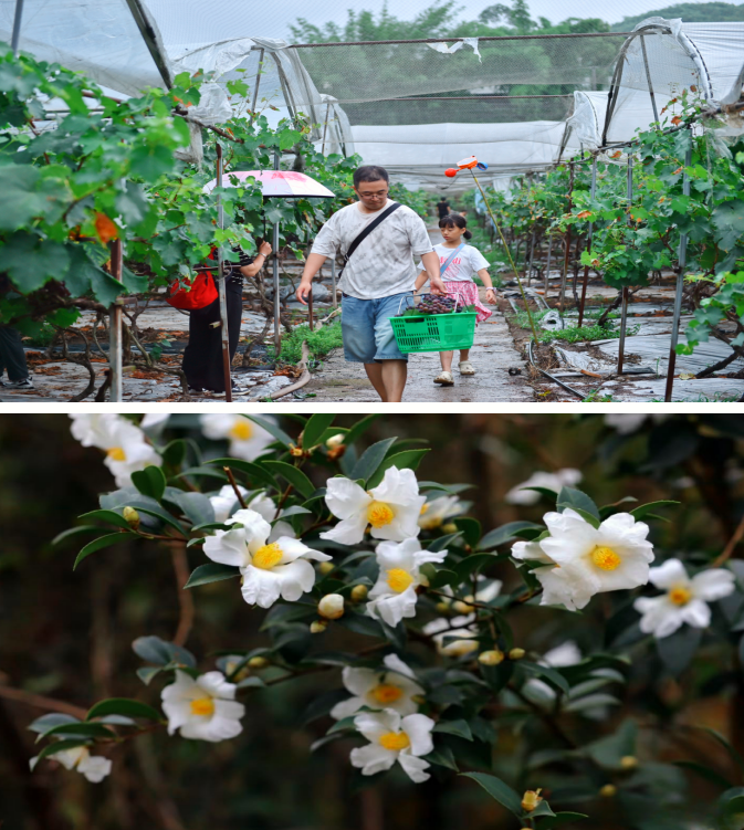 1760414897441297.png QQ_1760414873385.png