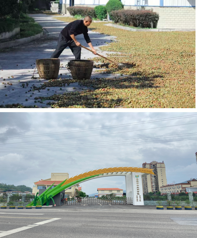 1760414936832787.png QQ_1760414831938.png