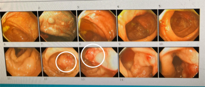 1760433558861176.png 02.png