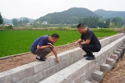 1760520328303277.jpg 03.jpg