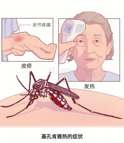 1760692852685381.jpg 03.jpg