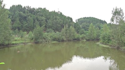 1760861190432758.jpg 06.jpg