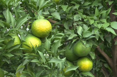 1760861481327616.png 03.png