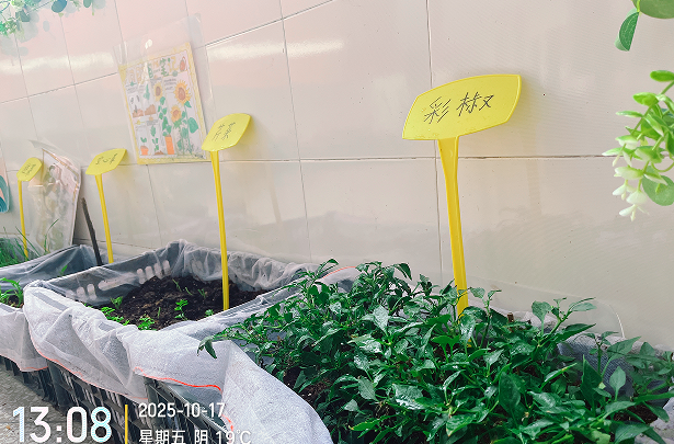 1760955444635067.png QQ_1760955379869.png