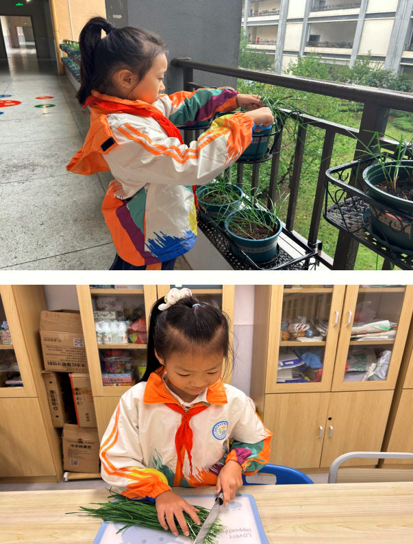 1761019305941088.png QQ_1761019284747.png