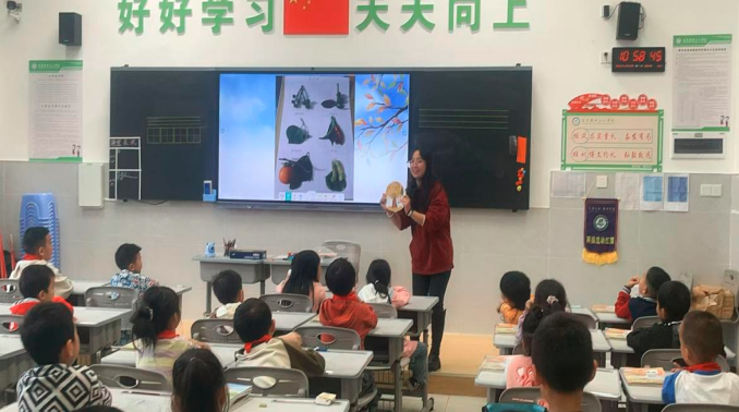 1761188934311744.png QQ_1761188917008.png