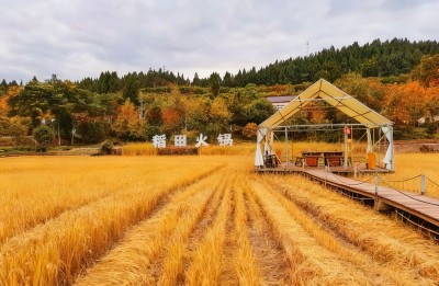 1761466332152177.jpg 03.jpg