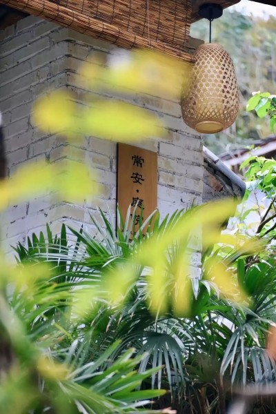 1761466355820058.jpg 05.jpg