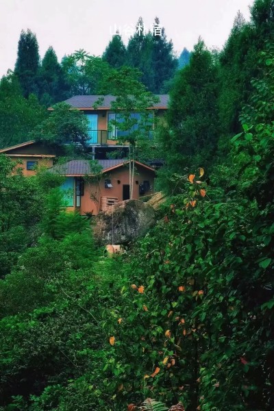 1761466399523453.jpg 09.jpg