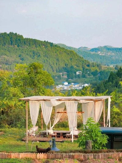 1761466407891459.jpg 10.jpg