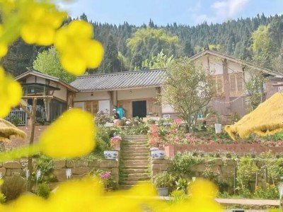 1761466442785686.jpg 13.jpg