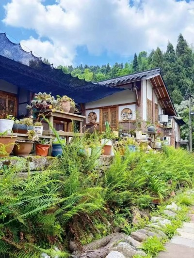 1761466451167405.jpg 14.jpg