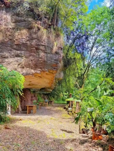 1761466460615526.jpg 15.jpg