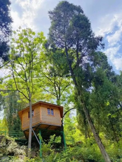 1761466468604092.jpg 16.jpg