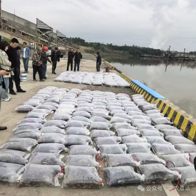 1761469072899961.png 02.png