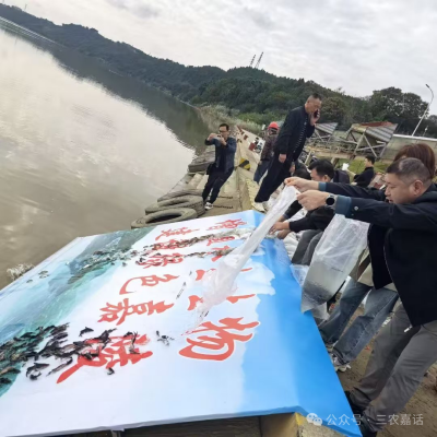 1761469082400497.png 03.png